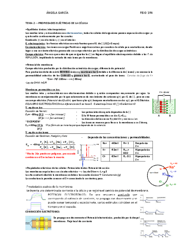 Miniatura del documento T2-Potenciales-Propiedades-electricas-de-las-celulas-.pdf