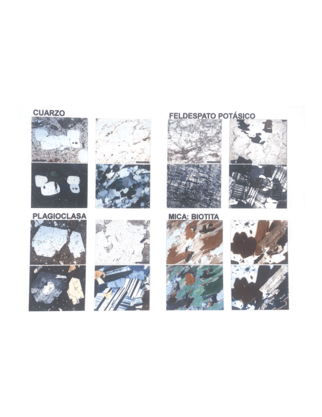 Miniatura del documento MINERALES-MICROSCOPIO.pdf