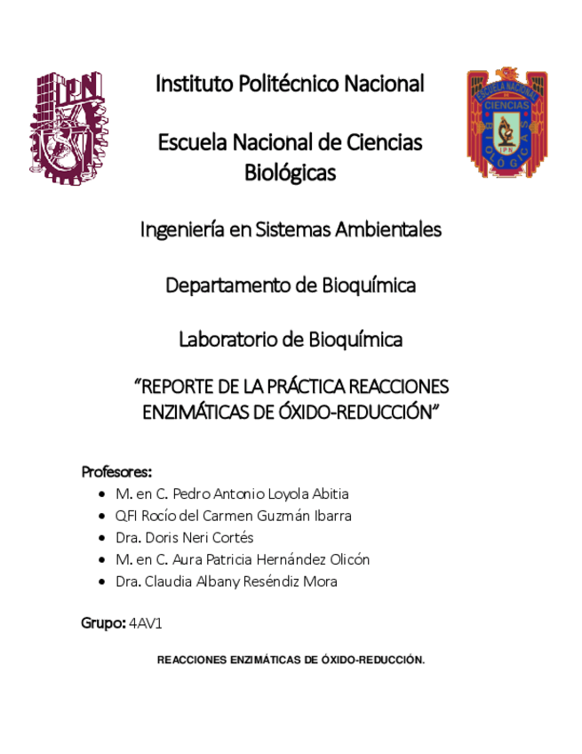 Miniatura del documento PRACTICA-REACCIONES-ENZIMATICAS-DE-OXIDO-REDUCCION.pdf