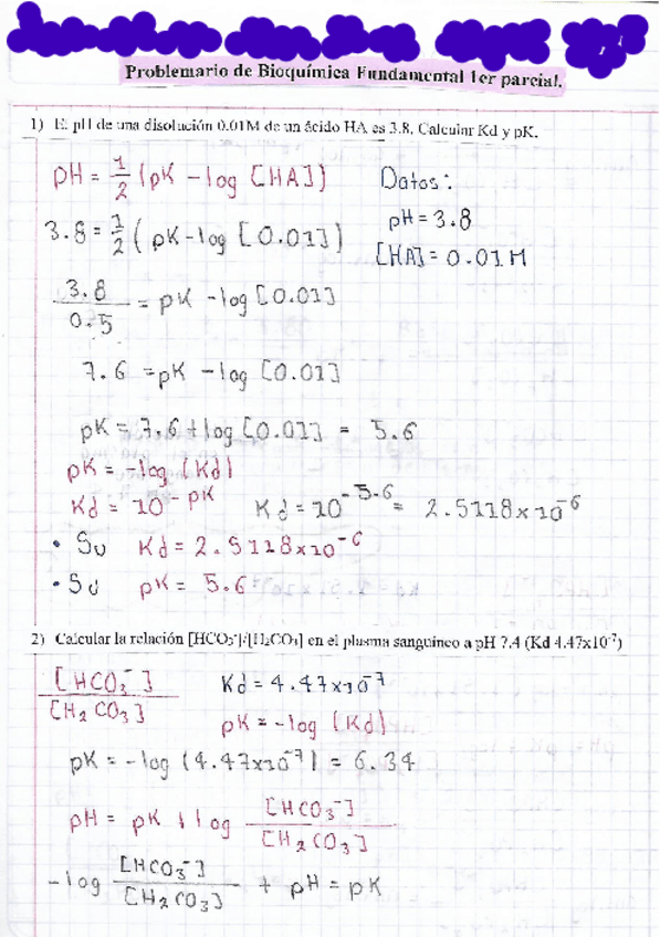 Miniatura del documento Problemario-de-Bioquimica-1er.-parcial.pdf