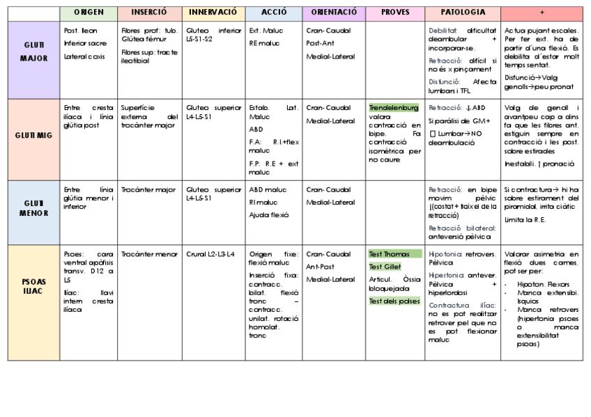 Miniatura del documento esquema-musculos.pdf