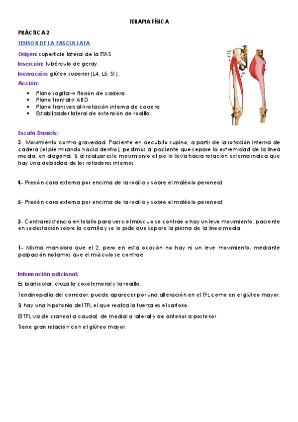 Miniatura del documento practica-2-terapia-fisica.pdf