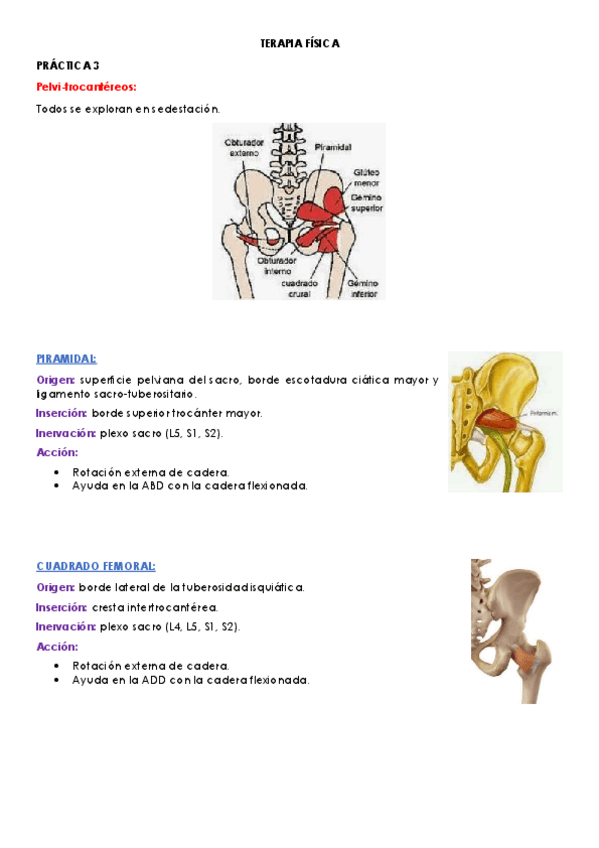 Miniatura del documento practica-3-terapia-fisica.pdf