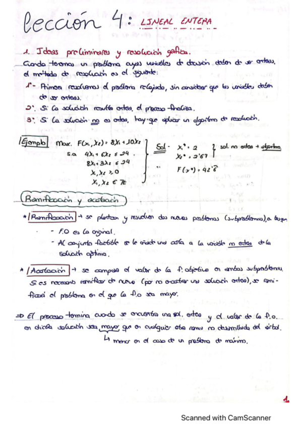Miniatura del documento Leccion-4.-Lineal-entera.pdf