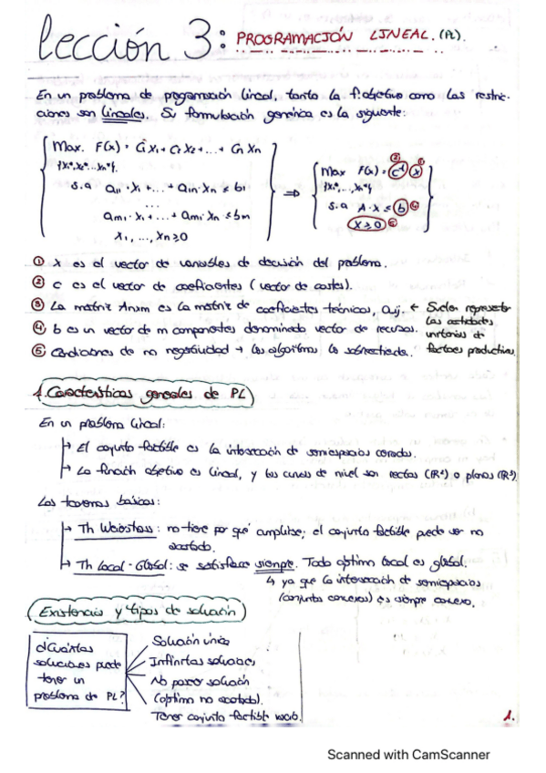 Miniatura del documento Leccion-3.-Programacion-lineal.pdf