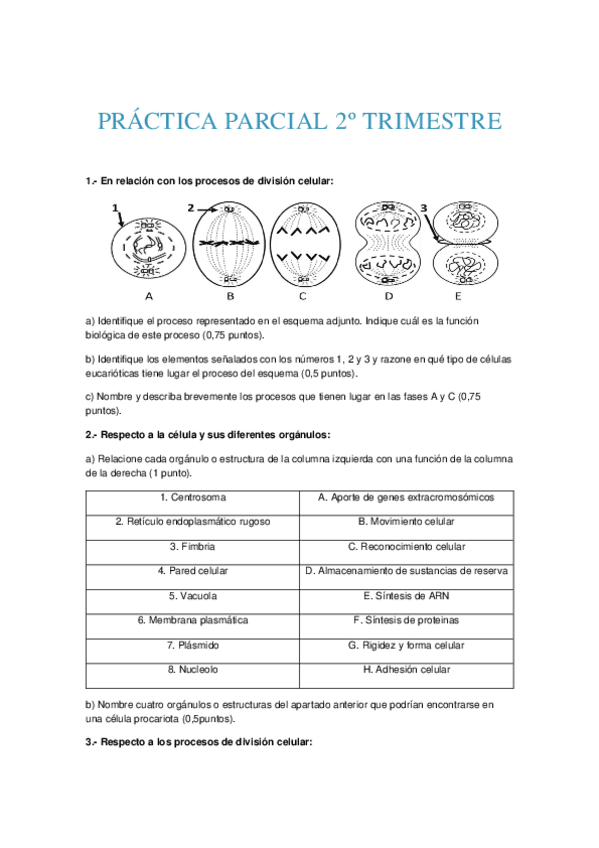 Miniatura del documento PRACTICA-2o-global-BIO.docx