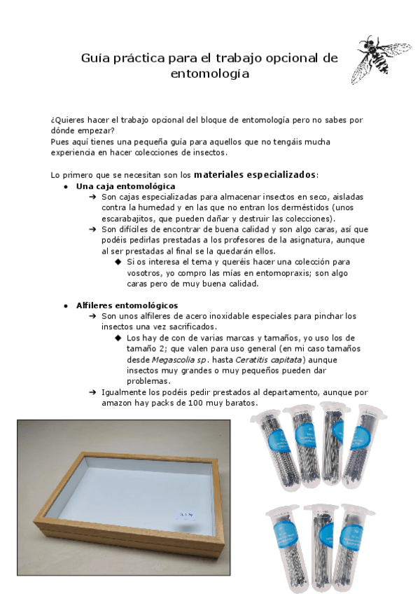 Miniatura del documento Guia-para-el-trabajo-opcional-entomologia.pdf