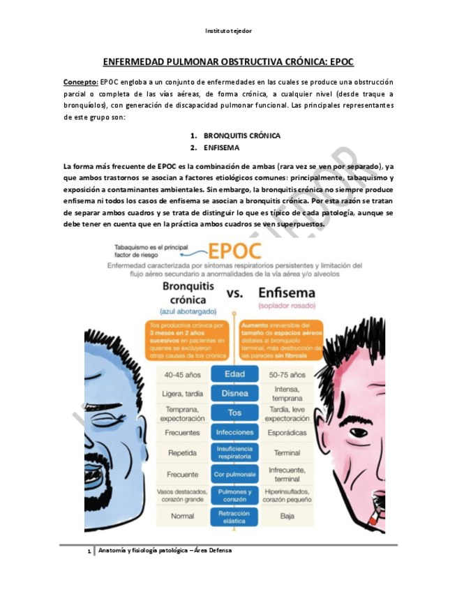 Miniatura del documento ENFERMEDAD-PULMONAR-OBSTRUCTIVA-CRONICA.pdf