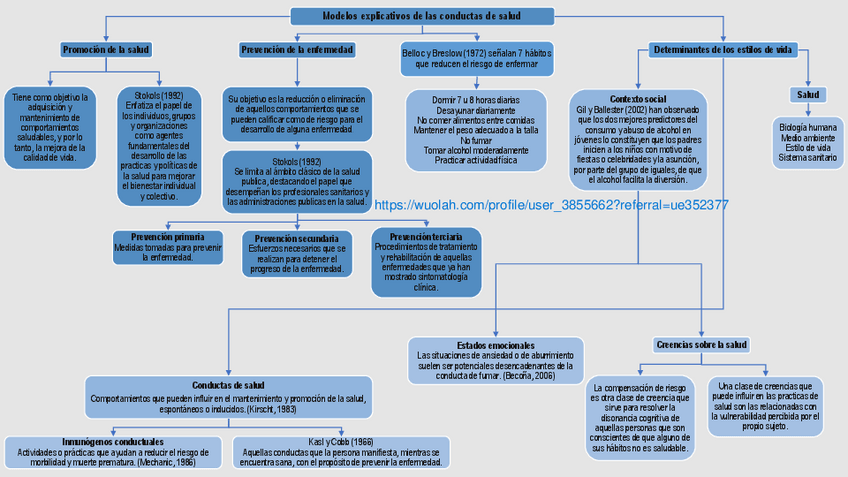 Miniatura del documento Modelos-explicativos-de-las-conductas-de-salud.pdf