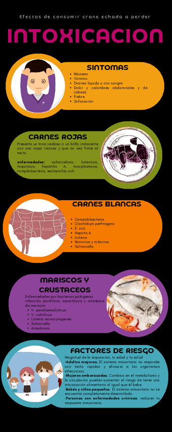 Miniatura del documento Infografia-Intoxicacion-Carne.pdf
