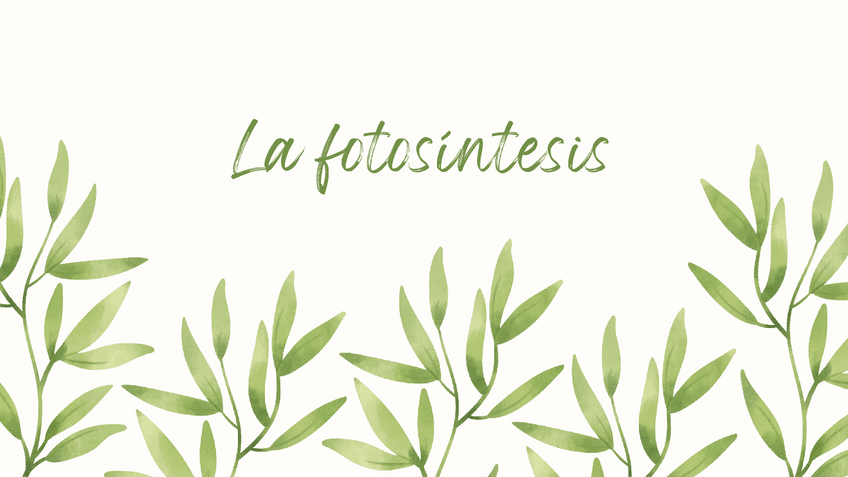 Miniatura del documento DOC-20230821-WA0085.-1.pdf