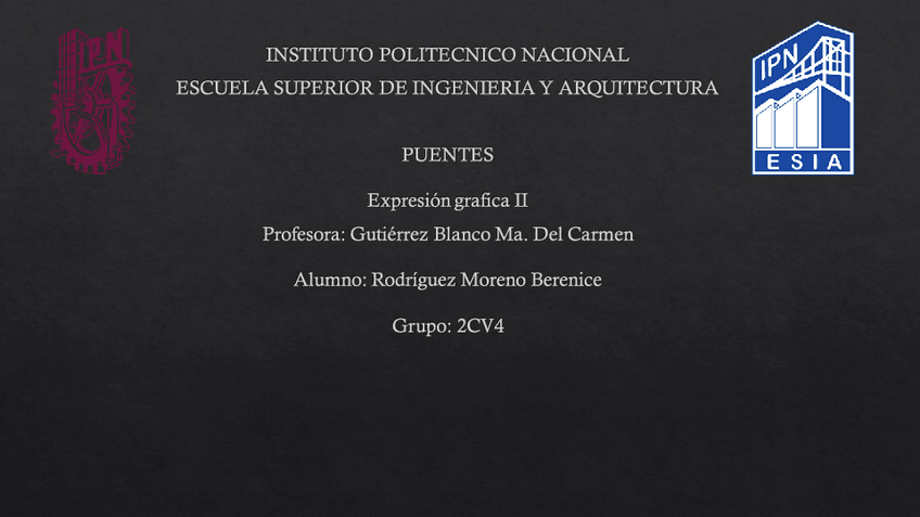 Miniatura del documento PuentesExpresion-grafica-II.pdf