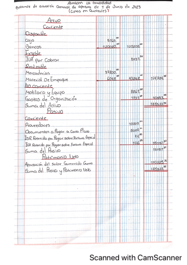 Miniatura del documento balance-del-almacen-la-comodidad.pdf
