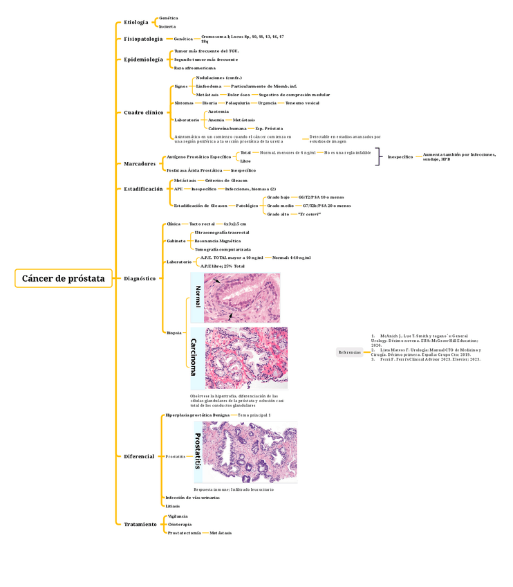 Miniatura del documento Cáncer de próstata.pdf