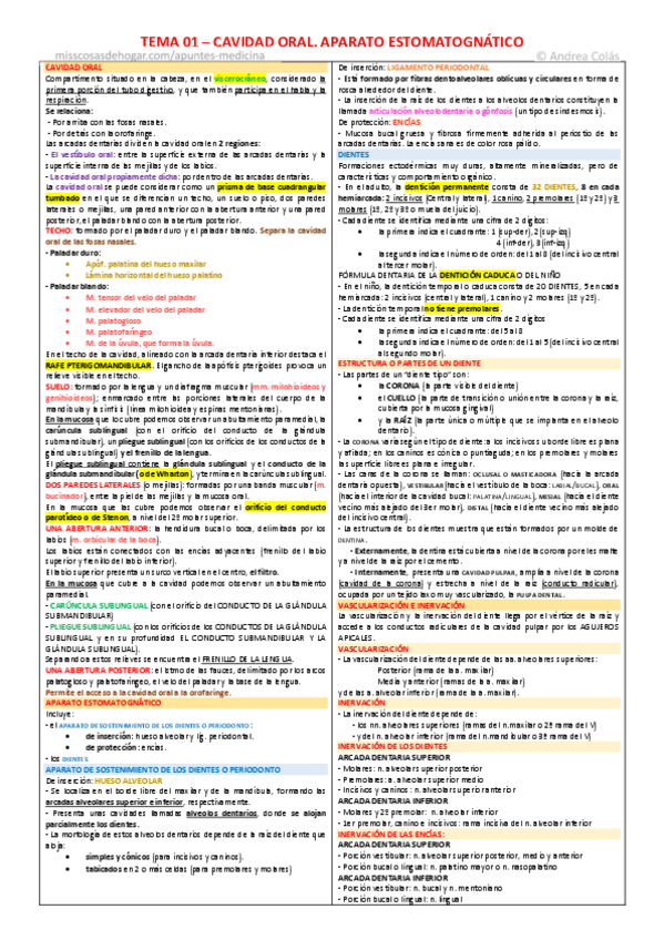Miniatura del documento Resumenes-Anato-De-Los-Aparatos.pdf