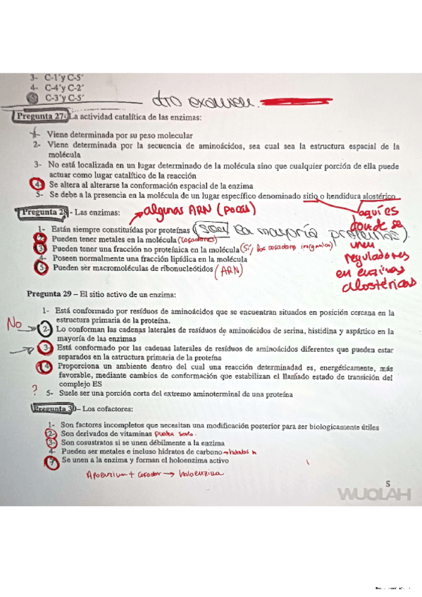 Miniatura del documento preguntas-enzimologia-corregidasx2.pdf