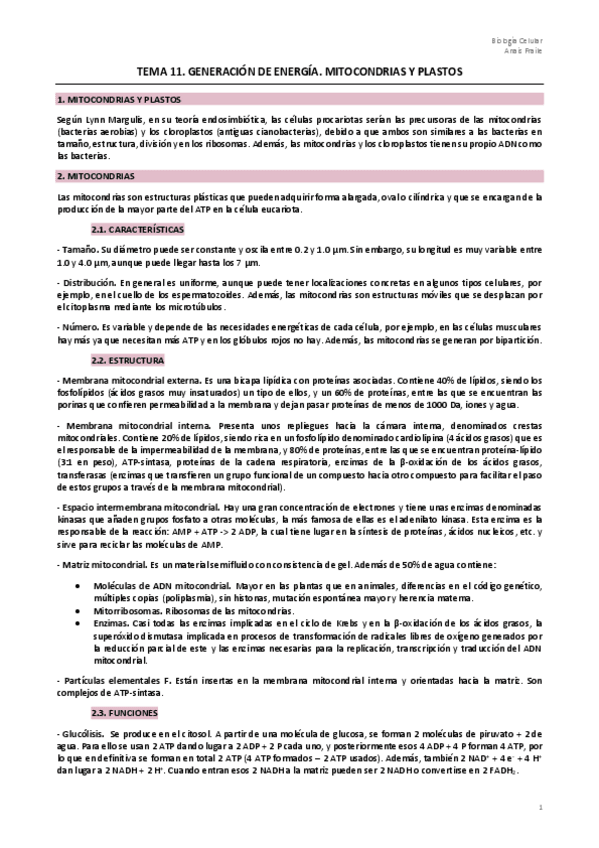 Miniatura del documento Parcial 2.pdf