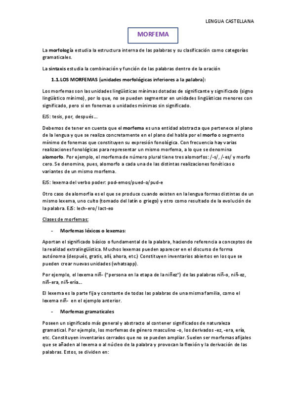Miniatura del documento RESUMEN-LENGUA-CASTELLANA.pdf
