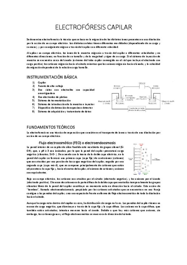 Miniatura del documento Electroforesis.pdf