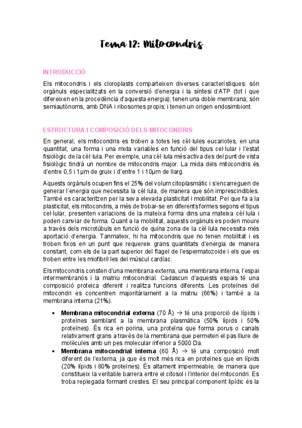 Miniatura del documento Biocel-T12.pdf