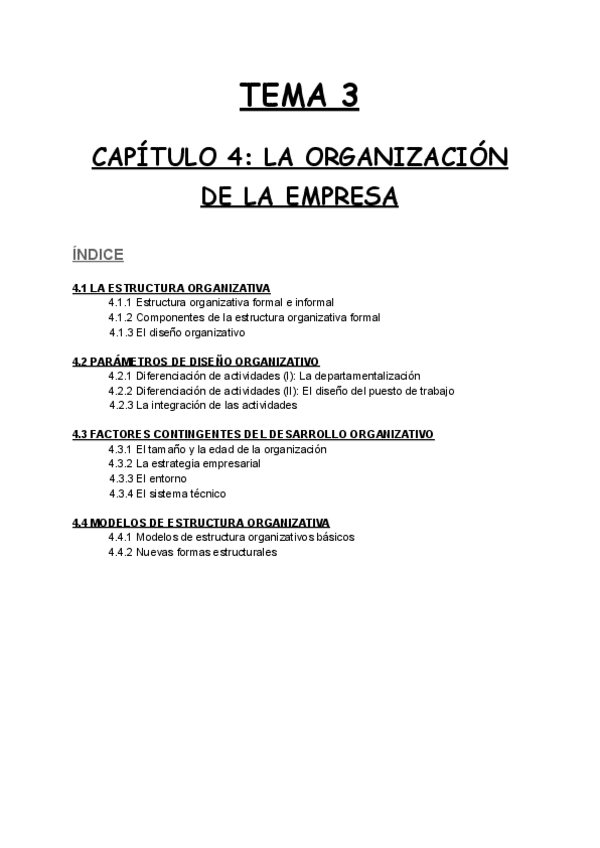 Miniatura del documento TEMA-3-capitulo-4-La-organizacion-de-la-empresa.pdf