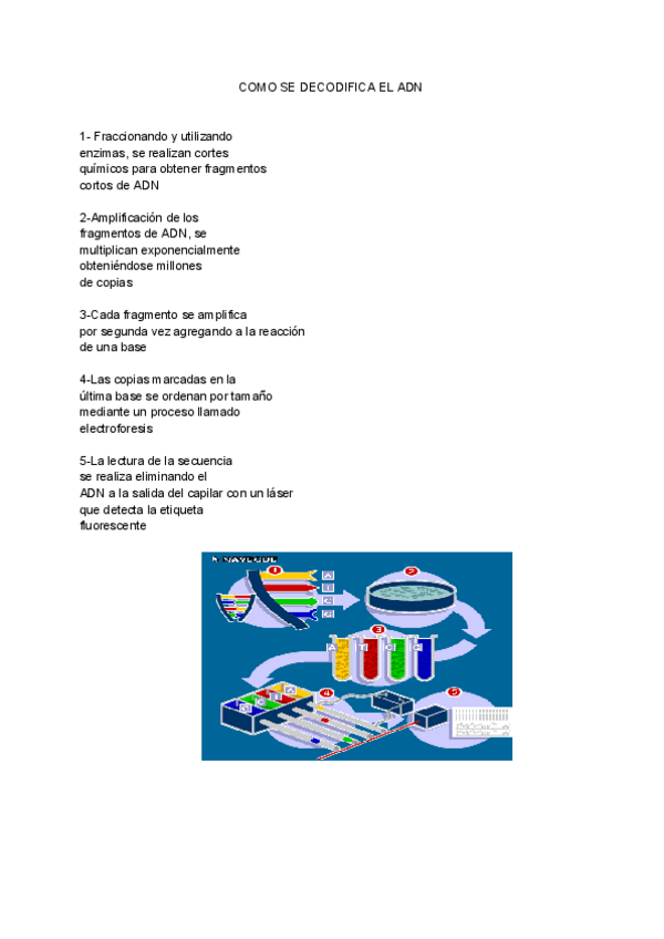 Miniatura del documento biologia.pdf