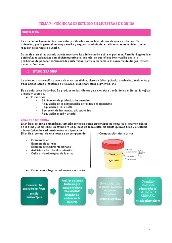 Miniatura del documento tema-7-bio.pdf