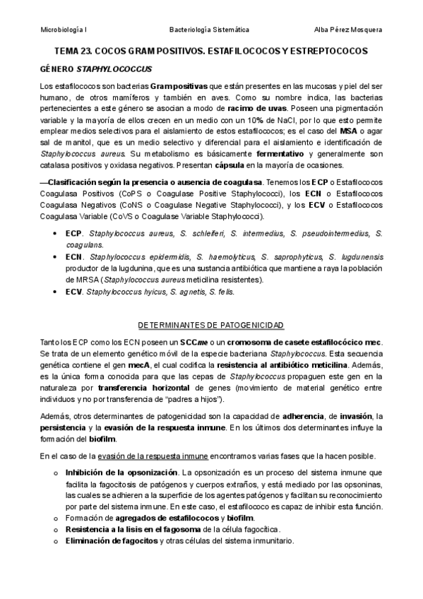 Miniatura del documento TEMA-23-ESTAFILOCOCOS-Y-ESTREPTOCOCOS.pdf
