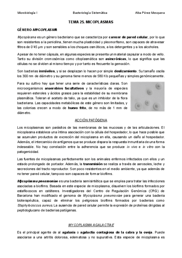 Miniatura del documento TEMA-25-MICOPLASMAS.pdf