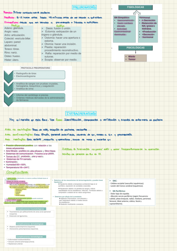 Miniatura del documento APUNTES-OPERATORIO.pdf