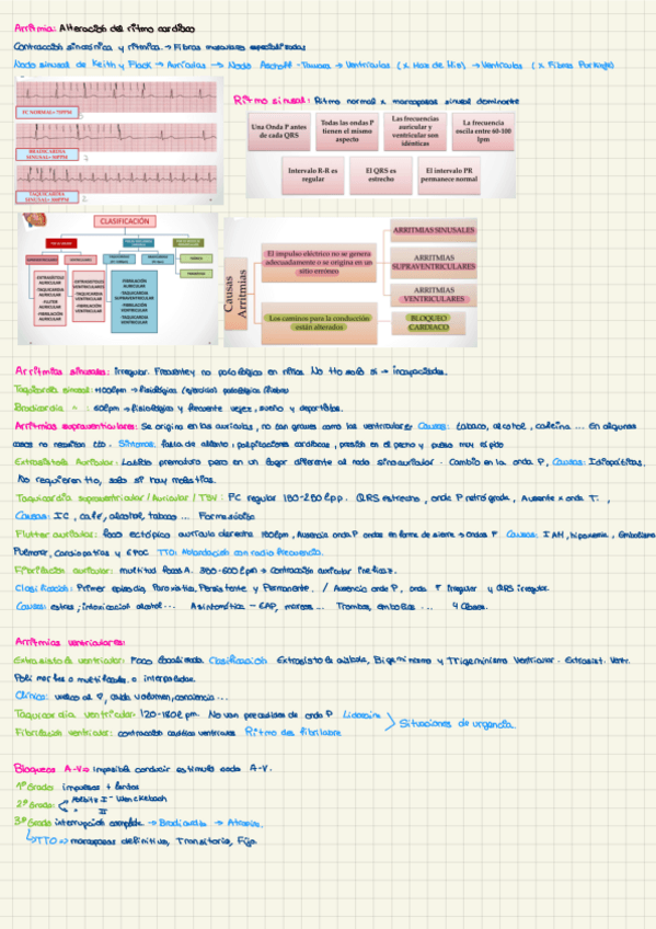Miniatura del documento Apuntes-23-Arritmias.pdf