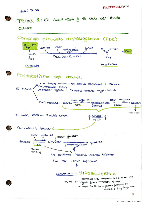 Miniatura del documento Esquemas-Metabolismo.pdf