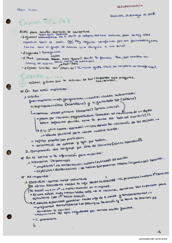 Miniatura del documento Respuestas-examenes.pdf