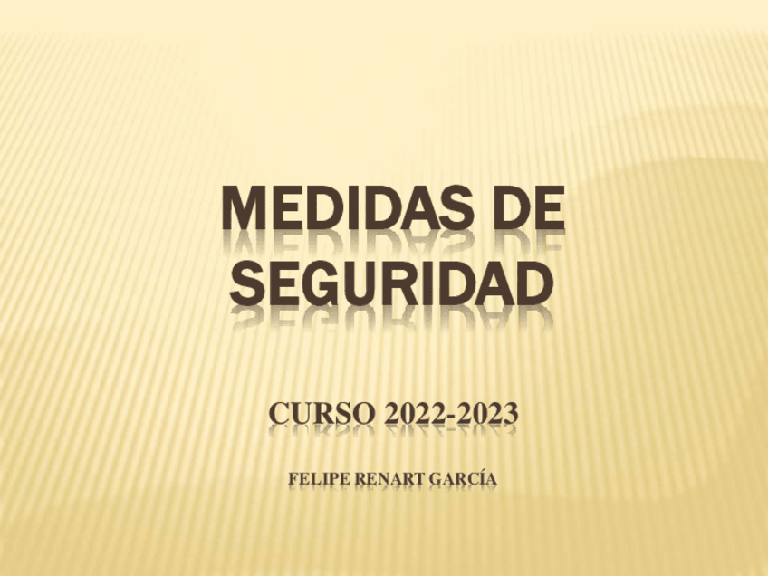 Miniatura del documento MEDIDAS-DE-SEGURIDAD.pdf