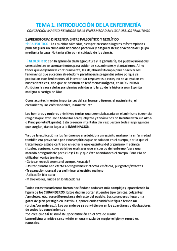 Miniatura del documento HISTORIA-APUNTES.pdf