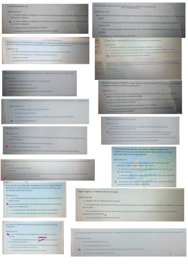 Miniatura del documento preguntas-examen.pdf