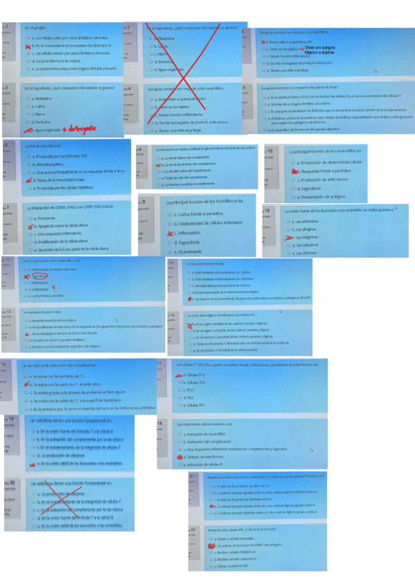 Miniatura del documento preguntas-examen-2.pdf