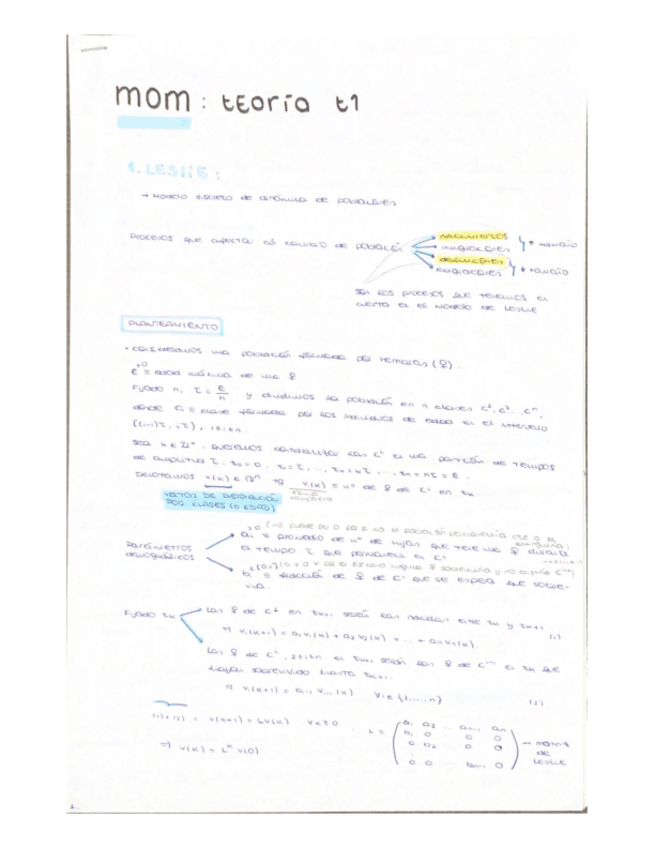 Miniatura del documento TEMA-1-MOM.pdf