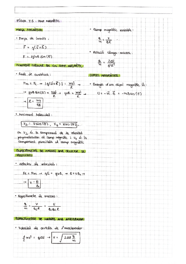 Miniatura del documento formulari-T5-camp-magnetic.pdf