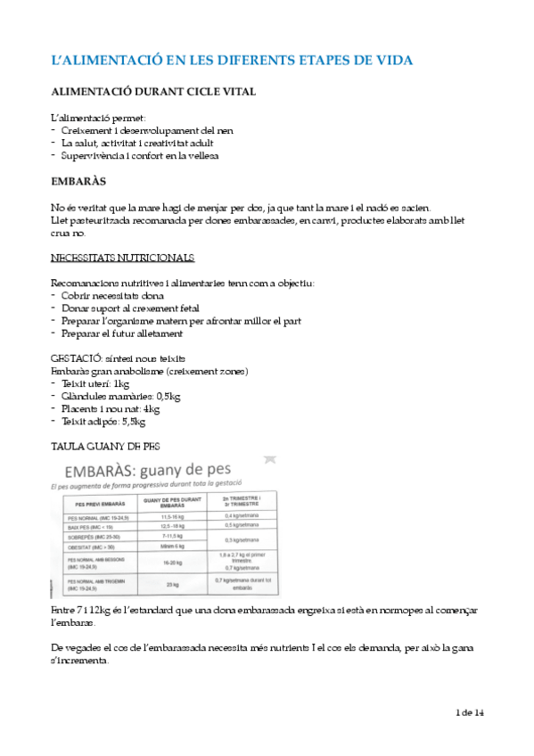 Miniatura del documento DIetetica.-Alimentacio-en-les-diferents-etapes-de-vida.pdf