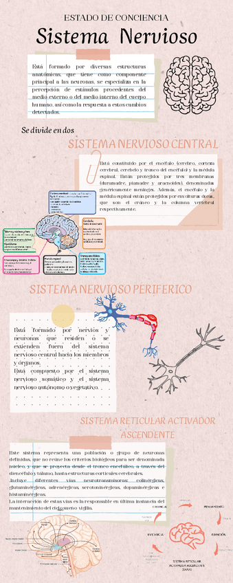 Miniatura del documento Infografia-Edo.-de-consciencia.pdf