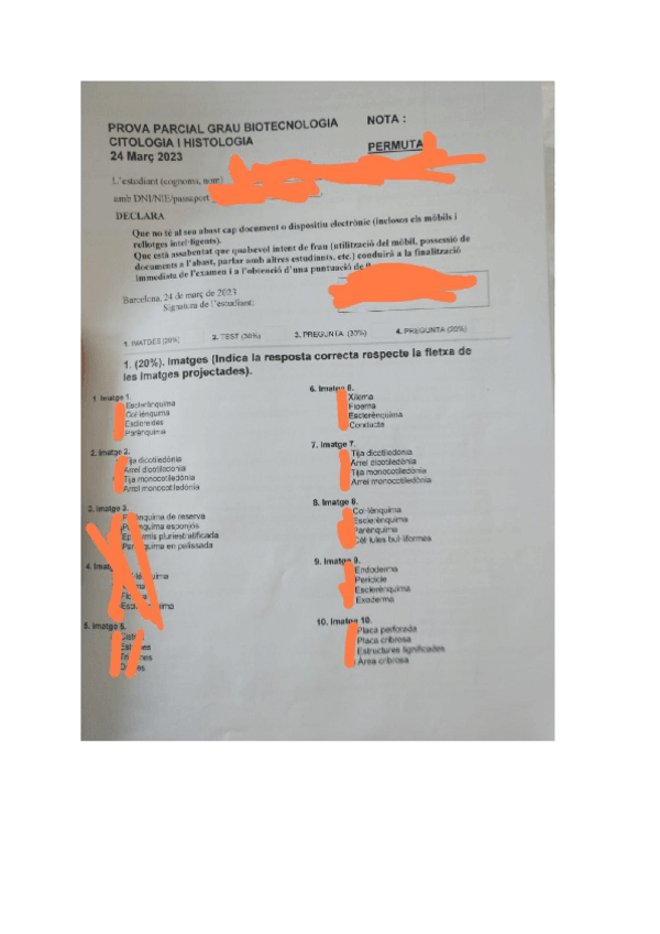 Miniatura del documento PRIMER-PARCIAL-CITO-Y-VEGETAL-ENTERO-CURSO-2023.pdf