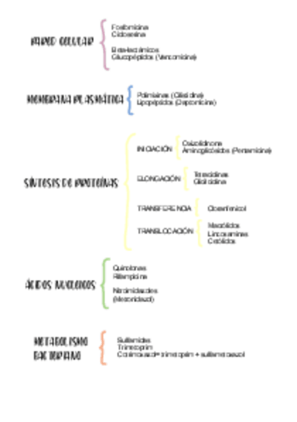 Miniatura del documento Esquema-antibioticos.pdf