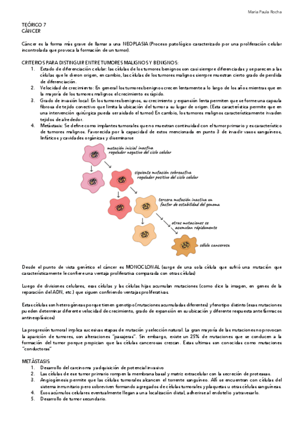 Miniatura del documento 7-CANCER.pdf