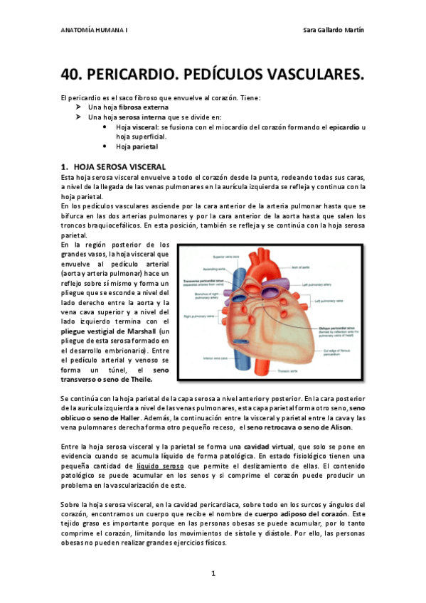 Miniatura del documento 40. Pericardio.pdf