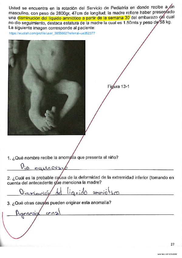 Miniatura del documento Evidencia-13-y-14.pdf