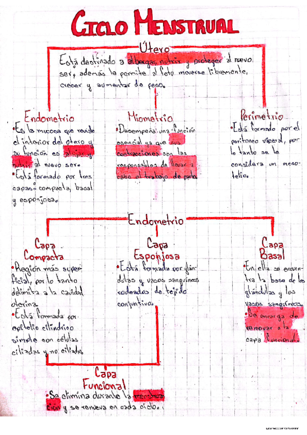 Miniatura del documento Ciclo-menstrual.pdf
