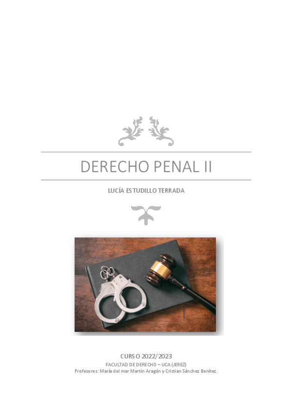 Miniatura del documento Temario Completo Penal 2 (aprobado).pdf