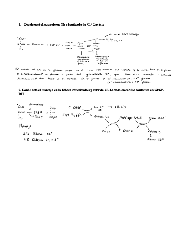 Miniatura del documento Pruebas.pdf