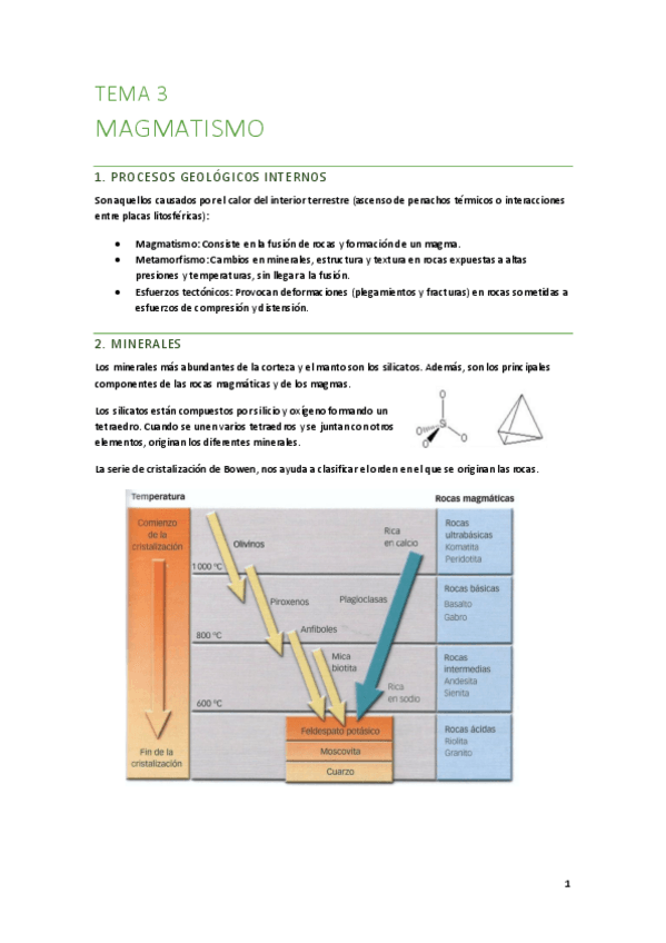 Miniatura del documento T3-El-magamatismo.pdf